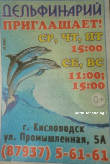 Дельфинарий Кисловодск расписание. Дельфинарий Кисловодск путь до парка. Дельфинарий в Кисловодске расписание и цены 2024.